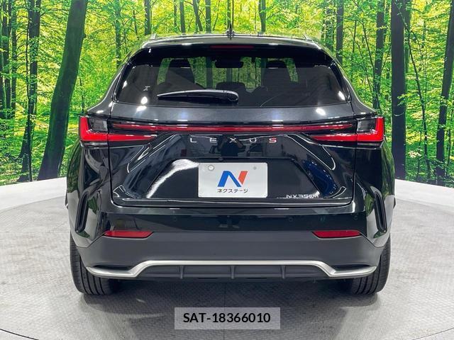 Lexus NX 2024-09 8812254-15