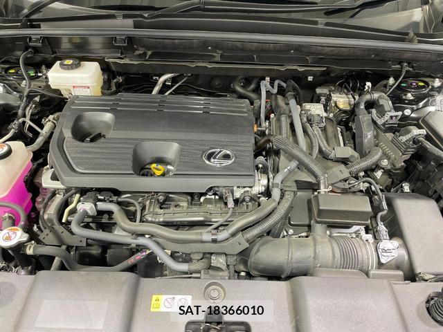 Lexus NX 2024-09 8812254-17