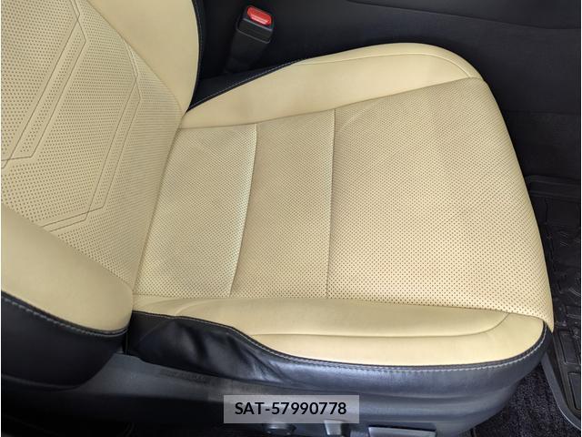 Lexus NX 2016-02 8812455-14