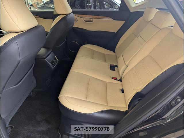 Lexus NX 2016-02 8812455-18