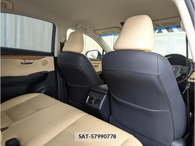 Lexus NX 2016-02 8812455-19