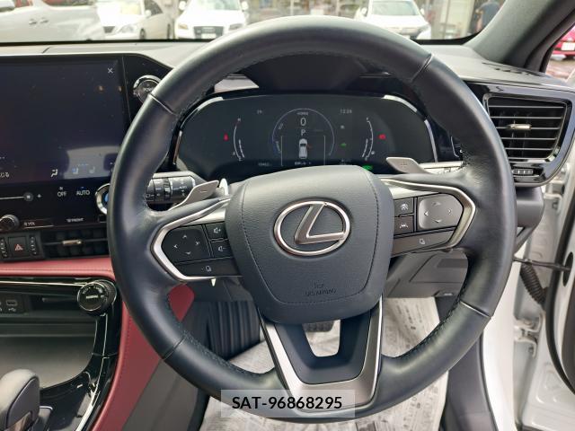Lexus NX 2025-06 8812694-12