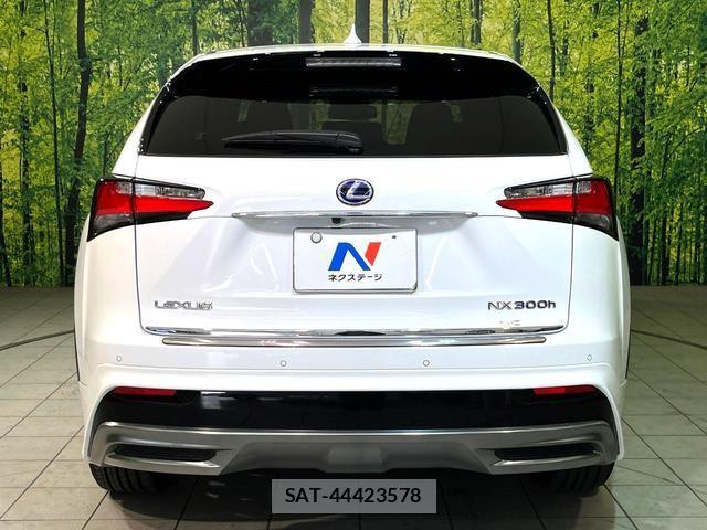 Lexus NX 2016-11 8812855-14
