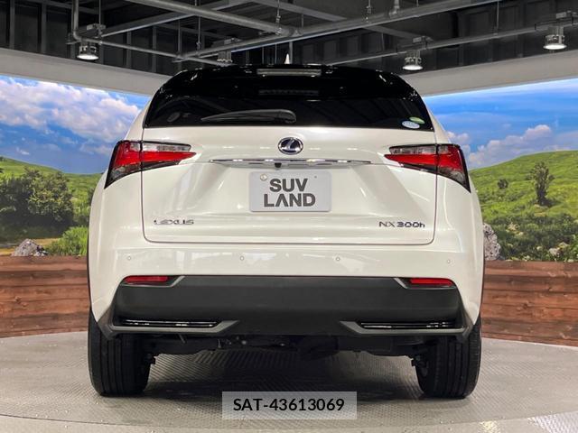 Lexus NX 2014-09 8812952-15