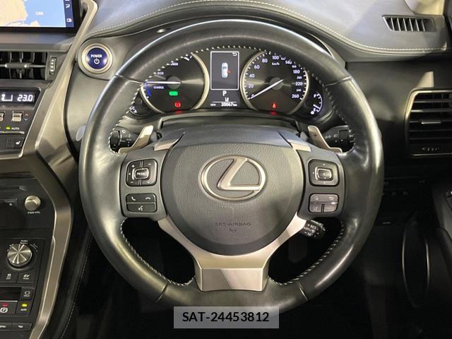 Lexus NX 2019-03 8812966-11