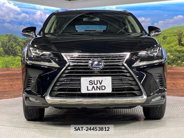 Lexus NX 2019-03 8812966-14