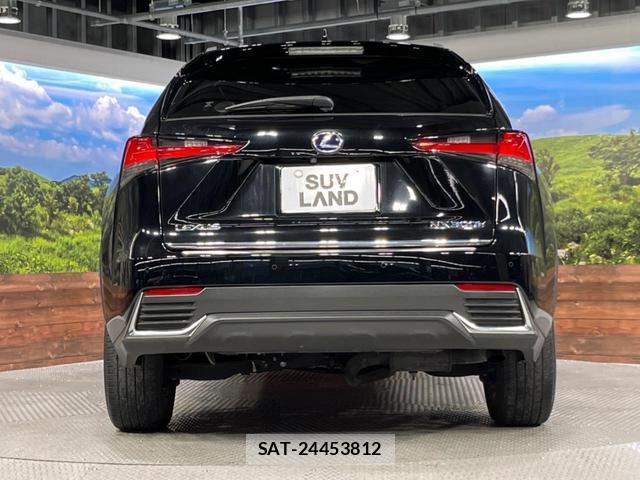 Lexus NX 2019-03 8812966-15