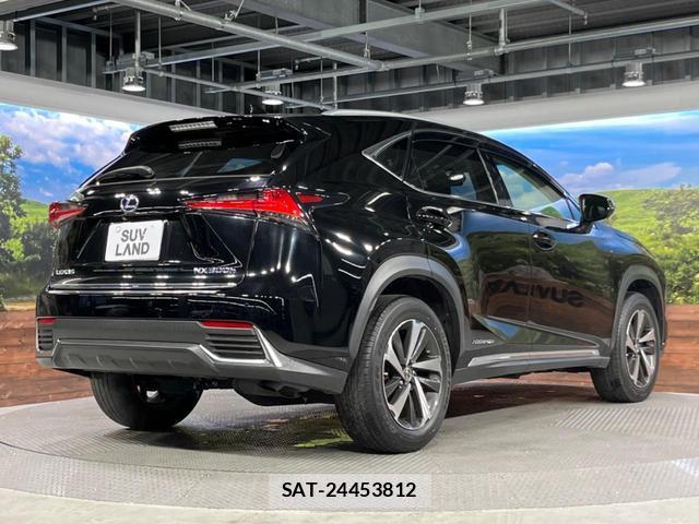 Lexus NX 2019-03 8812966-16