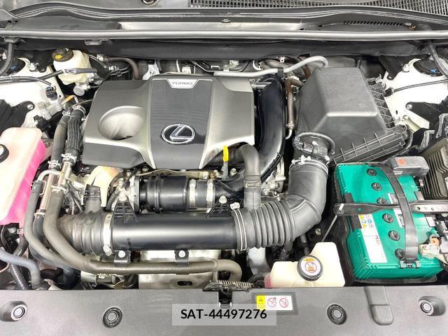 Lexus NX 2020-05 8813077-17