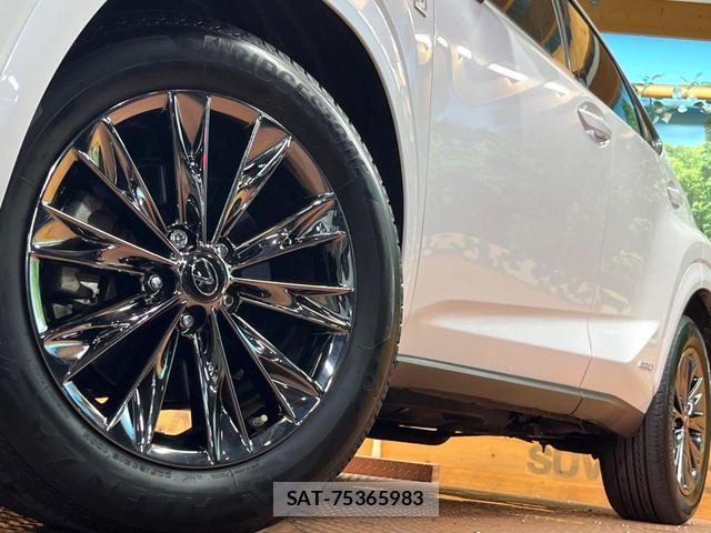 Lexus NX 2021-09 8813163-14