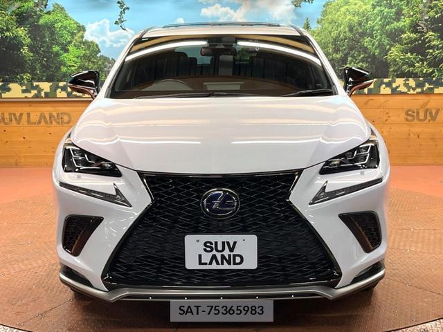 Lexus NX 2021-09 8813163-15