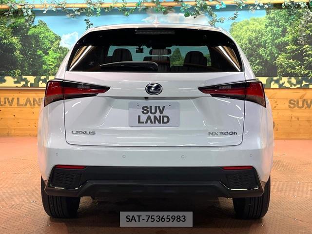 Lexus NX 2021-09 8813163-16