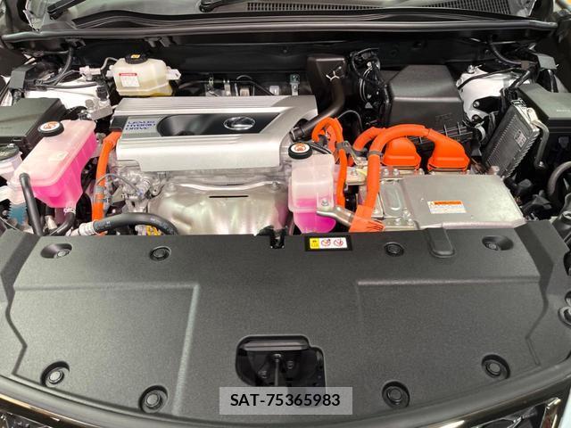 Lexus NX 2021-09 8813163-17