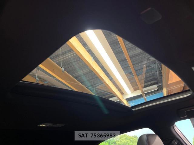 Lexus NX 2021-09 8813163-2