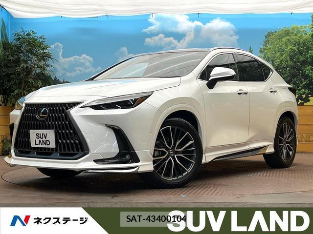 Lexus NX 2024-08 8813698-0