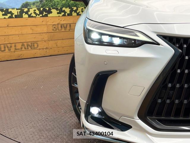Lexus NX 2024-08 8813698-12
