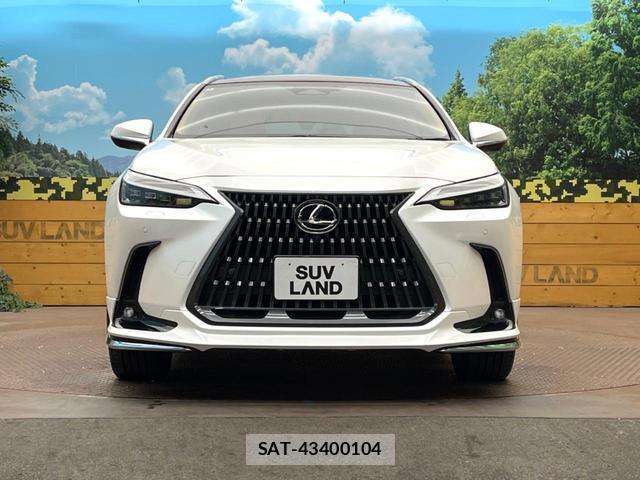 Lexus NX 2024-08 8813698-14