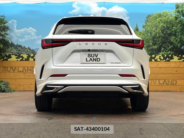 Lexus NX 2024-08 8813698-15