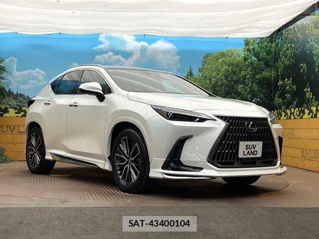 Lexus NX 2024-08 8813698-16