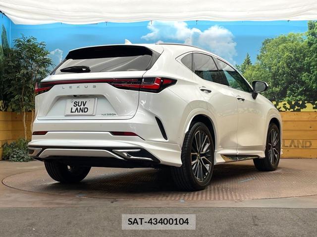 Lexus NX 2024-08 8813698-17