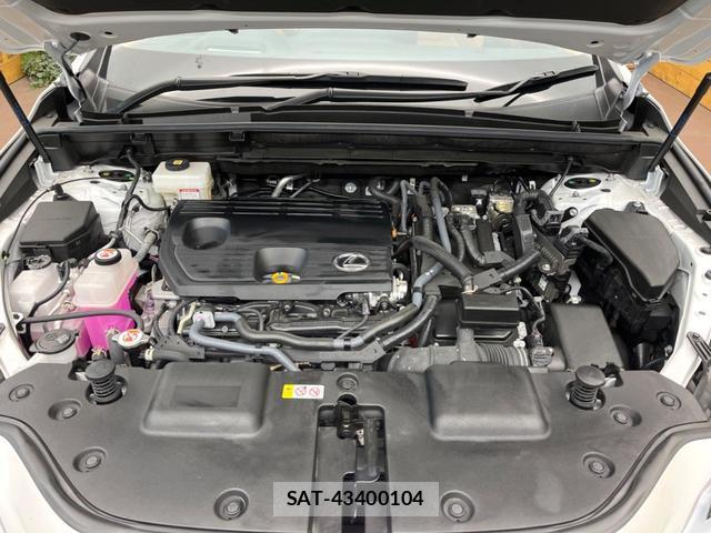 Lexus NX 2024-08 8813698-18