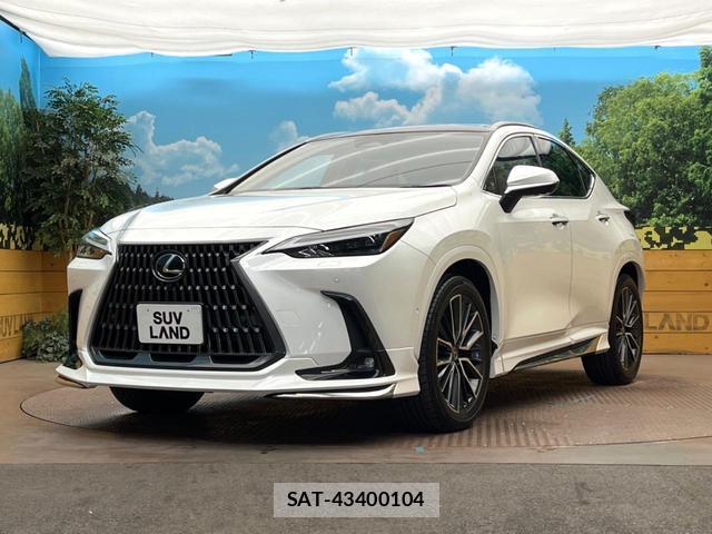 Lexus NX 2024-08 8813698-2