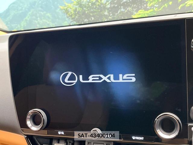 Lexus NX 2024-08 8813698-4