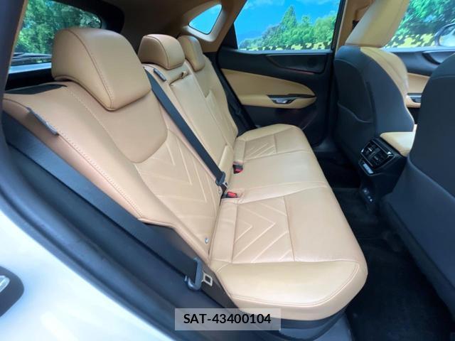 Lexus NX 2024-08 8813698-9