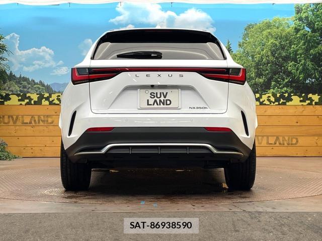 Lexus NX 2023-09 8813701-15