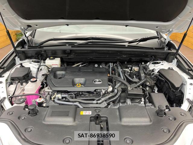 Lexus NX 2023-09 8813701-18