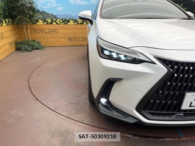 Lexus NX 2022-09 8813707-11