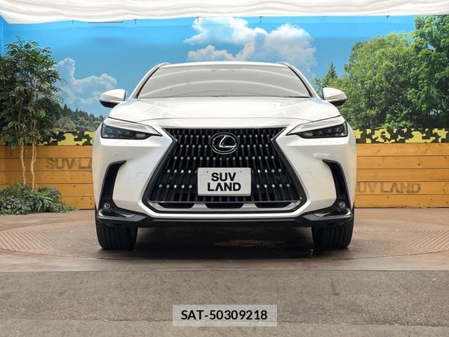 Lexus NX 2022-09 8813707-13