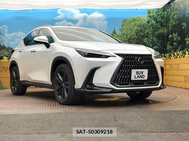 Lexus NX 2022-09 8813707-15
