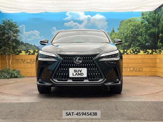 Lexus NX 2023-04 8813721-13