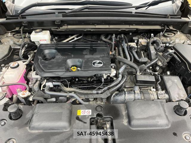 Lexus NX 2023-04 8813721-17