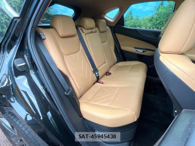 Lexus NX 2023-04 8813721-8