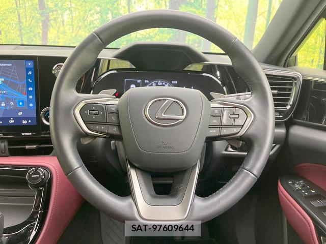 Lexus NX 2023-09 8813990-10