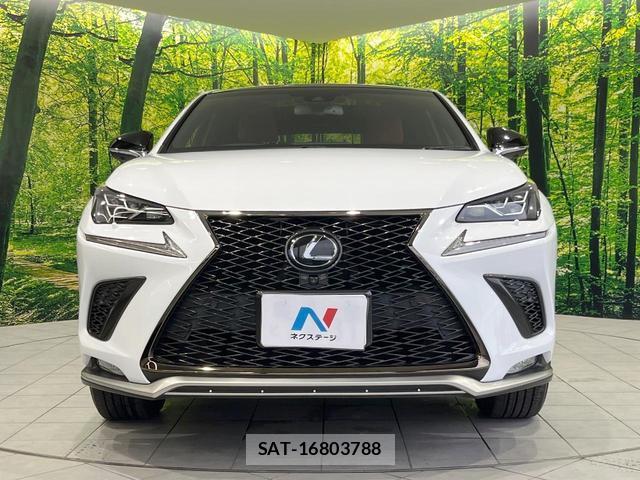 Lexus NX 2018-04 8814016-13