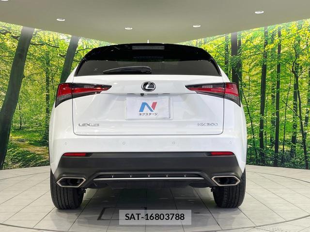 Lexus NX 2018-04 8814016-14