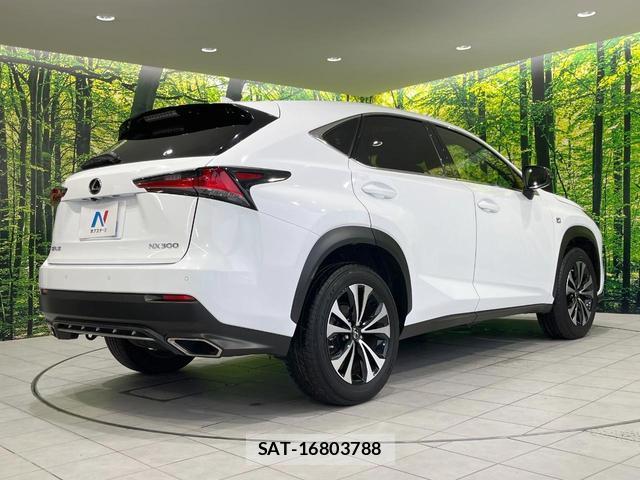 Lexus NX 2018-04 8814016-16