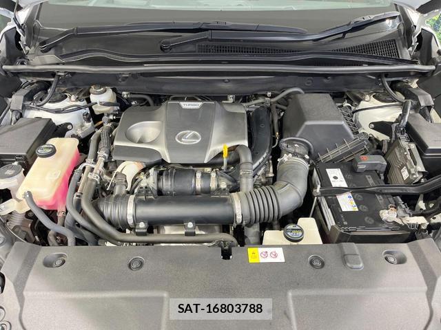 Lexus NX 2018-04 8814016-17