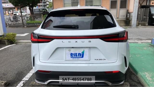 Lexus NX 2025-10 8815501-1