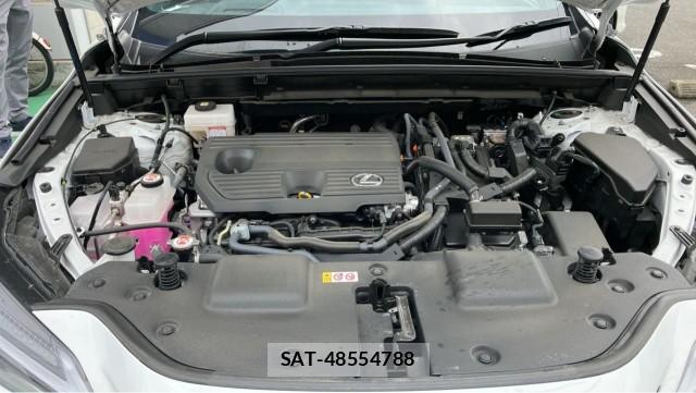 Lexus NX 2025-10 8815501-7