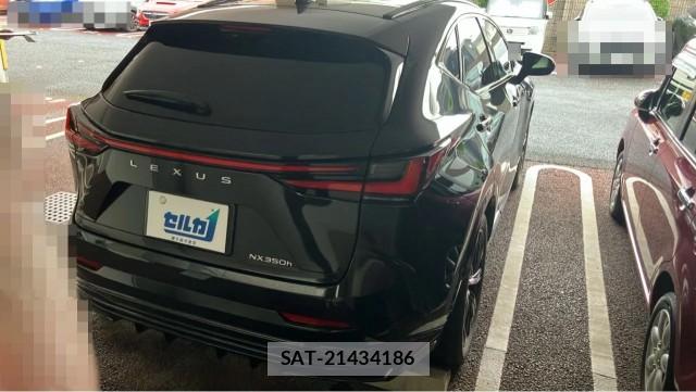 Lexus NX 2023-09 8815524-12