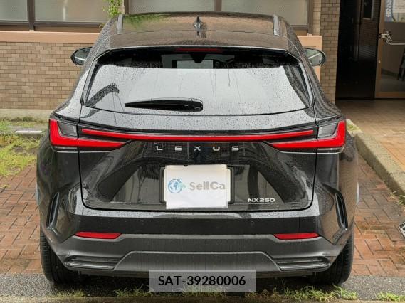 Lexus NX 2022-05 8815527-1