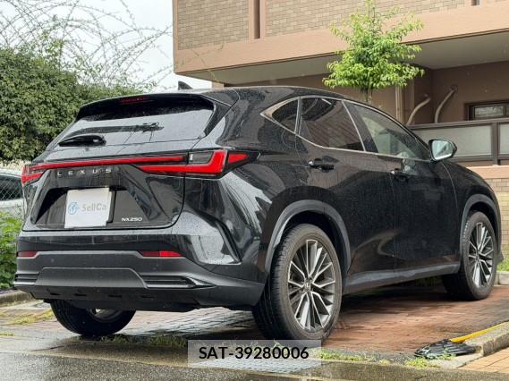 Lexus NX 2022-05 8815527-12