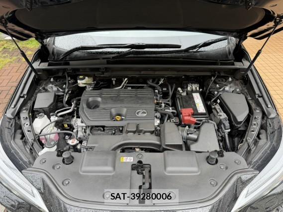 Lexus NX 2022-05 8815527-7