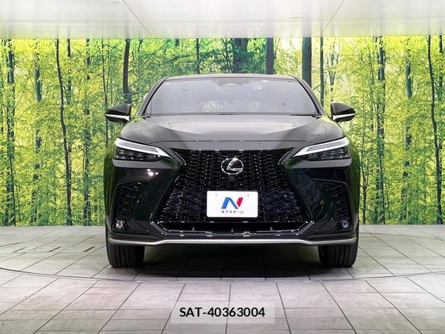 Lexus NX 2023-03 8815761-13