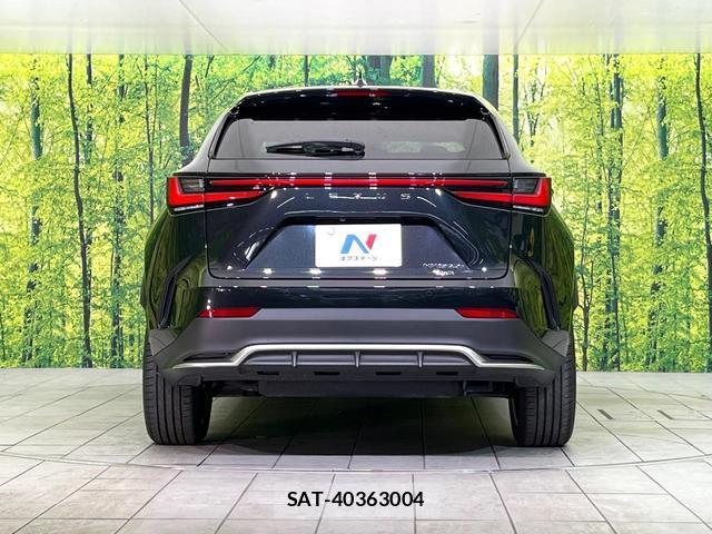 Lexus NX 2023-03 8815761-14