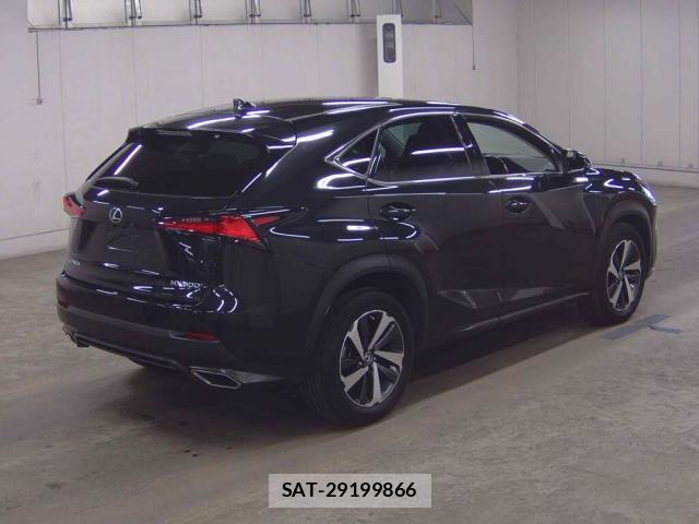 Lexus NX 2018-02 8815995-4